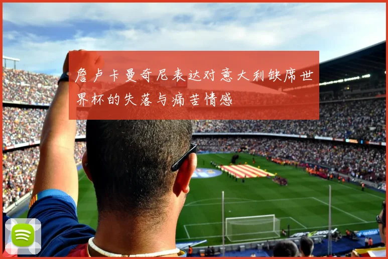 詹卢卡曼奇尼表达对意大利缺席世界杯的失落与痛苦情感
